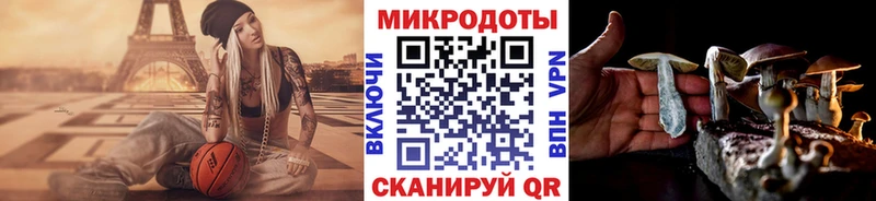Галлюциногенные грибы Cubensis  дарк нет наркотические препараты  Рошаль 
